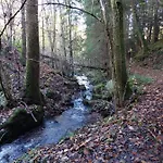 Urlaub An Der Grenze * Lauterbach