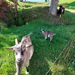 Apartman Urlaub An Der Grenze *