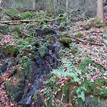 Apartman Urlaub An Der Grenze Lauterbach