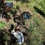 Urlaub An Der Grenze Apartman *