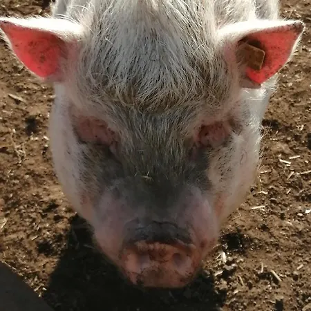 Urlaub An Der Grenze Lauterbach