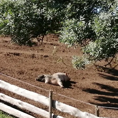 Urlaub An Der Grenze شقة *