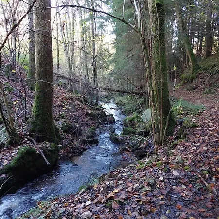 Urlaub An Der Grenze * Lauterbach (Baden-Wurttemberg)