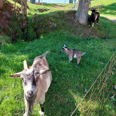 Apartman Urlaub An Der Grenze *