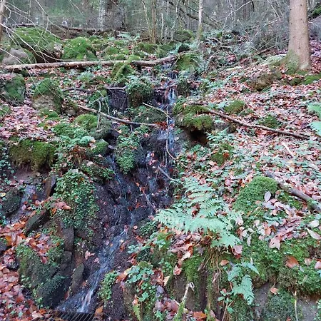 Apartman Urlaub An Der Grenze Lauterbach