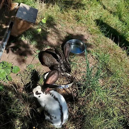 Urlaub An Der Grenze 公寓 *