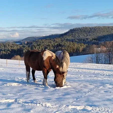 Urlaub An Der Grenze