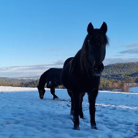 Urlaub An Der Grenze 公寓 *