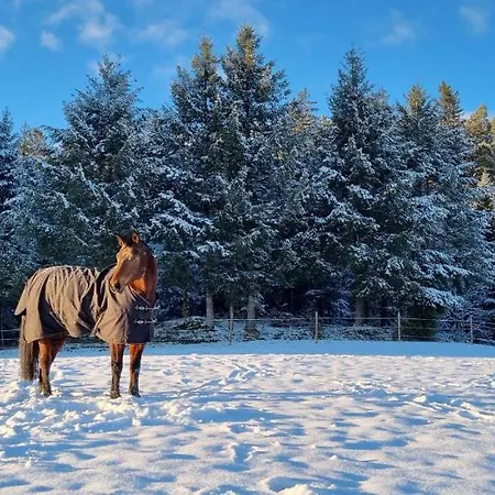 Apartman Urlaub An Der Grenze *