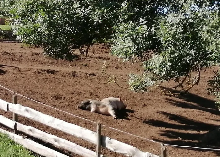 Urlaub An Der Grenze شقة *