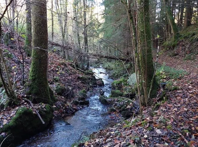 Urlaub An Der Grenze * لاوترباخ