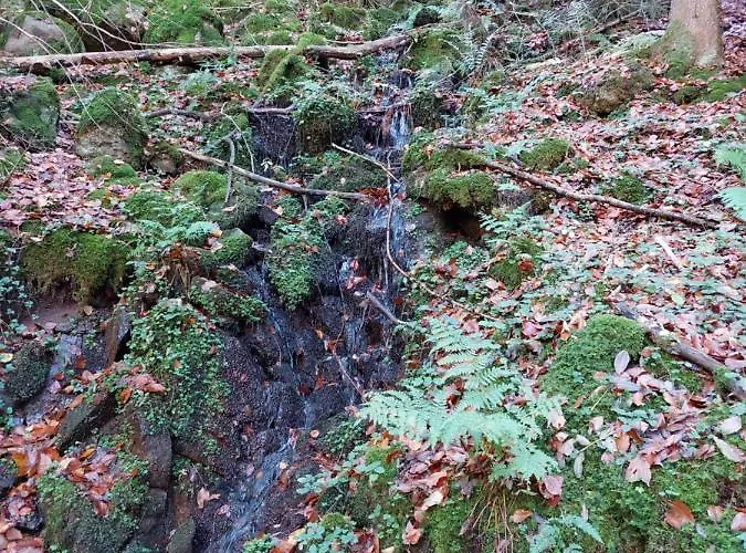 شقة Urlaub An Der Grenze لاوترباخ