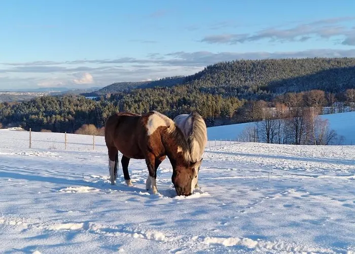Urlaub An Der Grenze