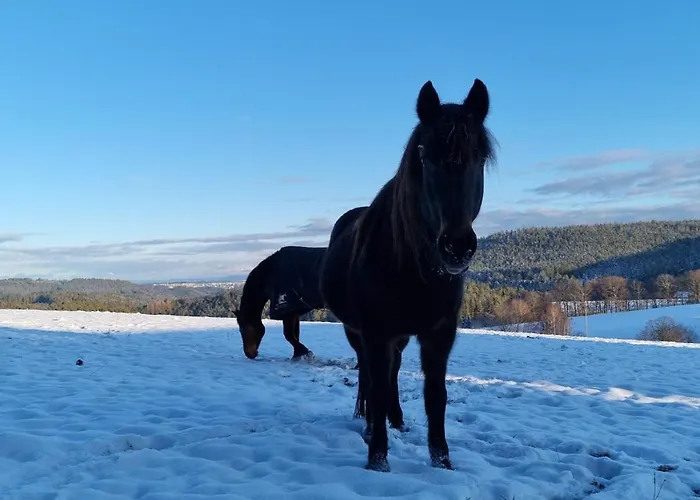 Urlaub An Der Grenze شقة *