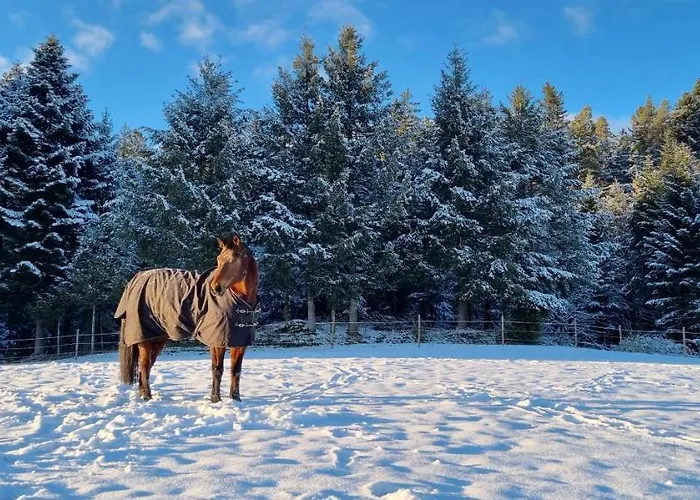 شقة Urlaub An Der Grenze *